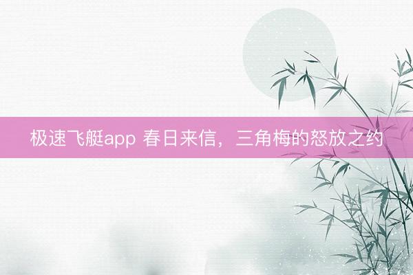 极速飞艇app 春日来信，三角梅的怒放之约